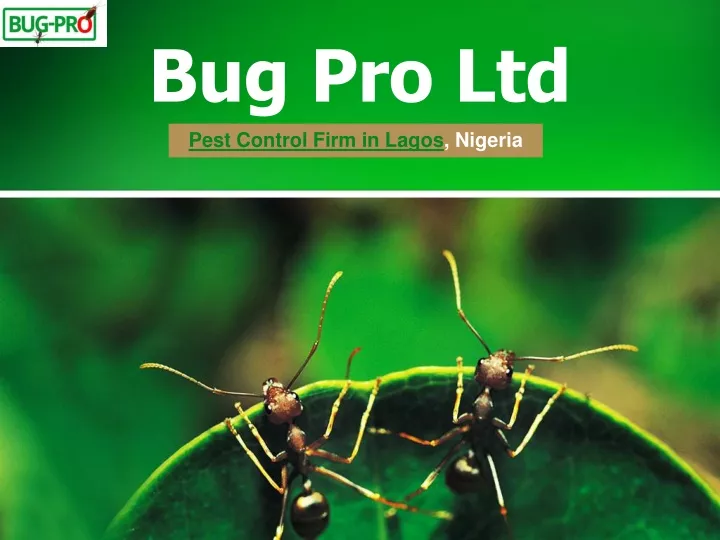 bug pro ltd