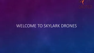 Drone Survey