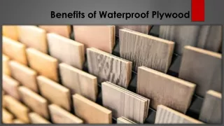 Benefits of Waterproof Plywood