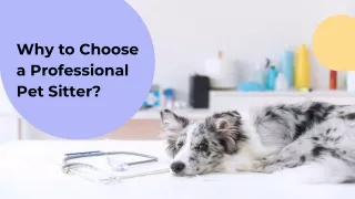 Why to choose a Professional Pet Sitter_Pawspace