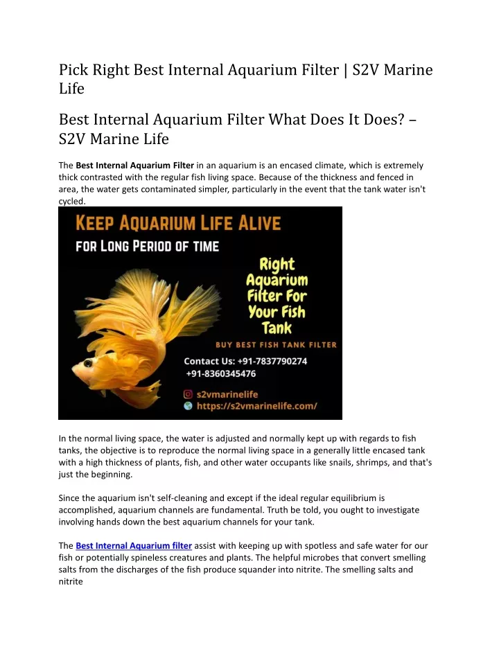 pick right best internal aquarium filter