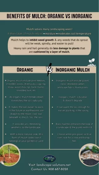 The Benefits of Mulch Organic vs Inorganic