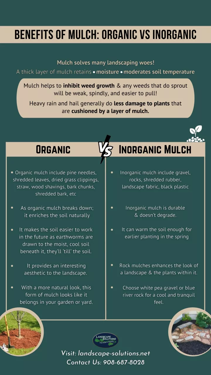 benefits of mulch organic vs inorganic