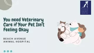 You need Veterinary Care if Your Pet Isn't Feeling Okay