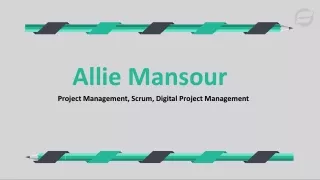 Allie Mansour - A Detail-focused Professional