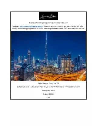 Business Mentoring Programme