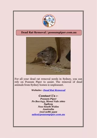 Dead Rat Removal | possumpiper.com.au
