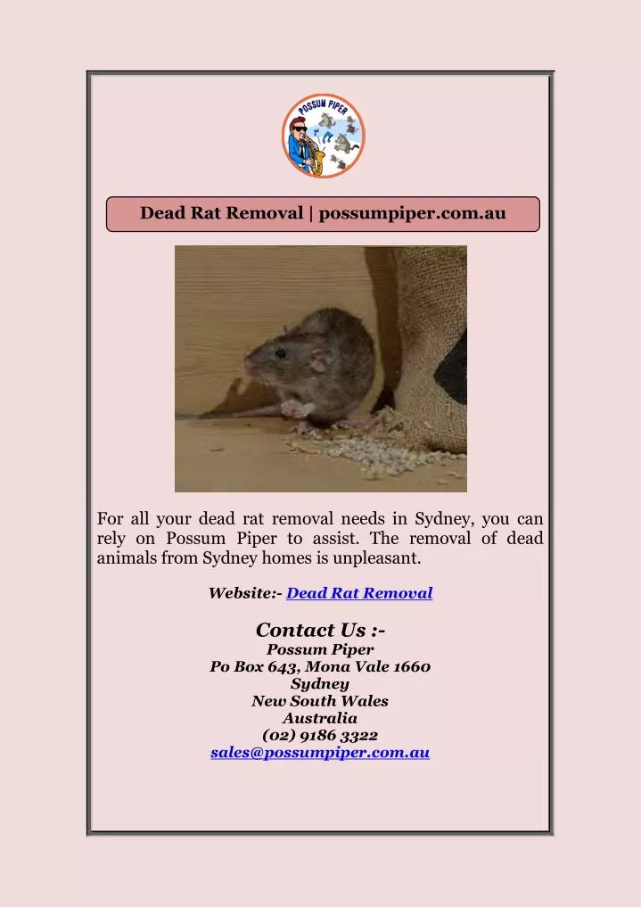 dead rat removal possumpiper com au