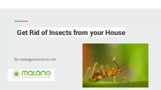 Get Rid of Insects from your House