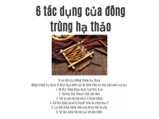6 t c d ng c a ng tr ng h th o