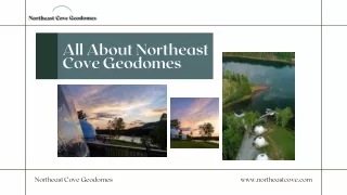 All About Northeast Cove Geodomes
