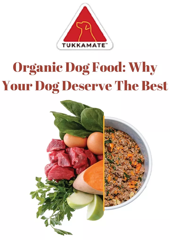 organic dog food why your dog deserve the best