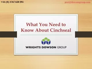 What You Need to Know About Cinchseal