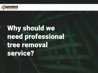 Why should we need professional tree removal service