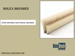 bolex brushes