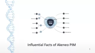 Influential Facts of Akeneo PIM