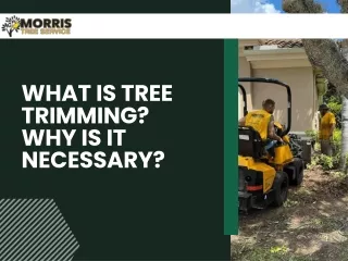 What is tree trimming Why it is necessary