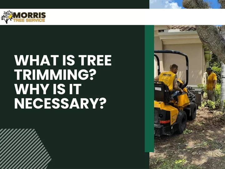 what is tree trimming why is it necessary