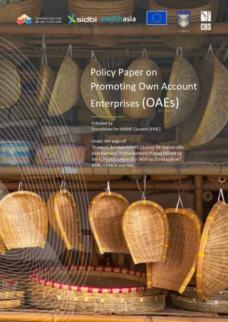 policy paper on promoting own account enterprises