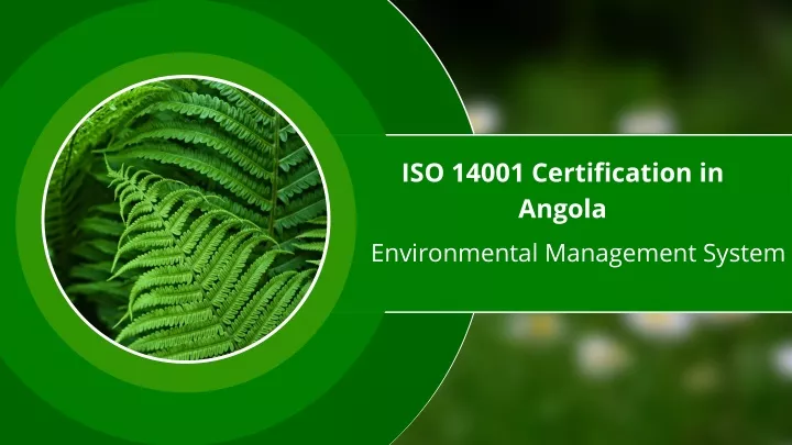 iso 14001 certification in angola environmental