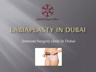 LabiaPlasty In Dubai