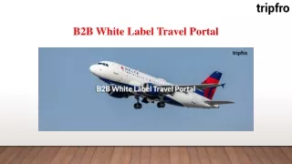 b2b white label travel portal