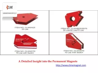 a detailed insight into the permanent magnets