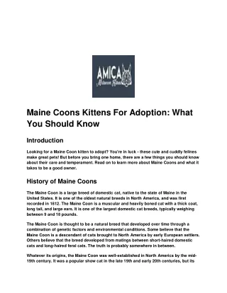 maine coon kittens for adoption