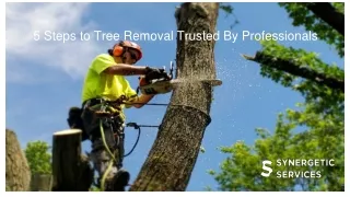 5 Steps to Tree Removal Trusted By Professionals