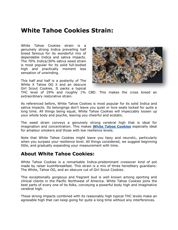 white tahoe cookies strain