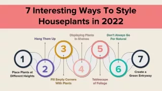 7 Interesting Ways To Style Houseplants in 2022