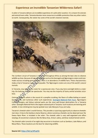 experience an incredible tanzanian wilderness