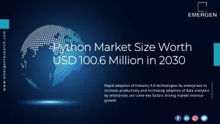 Python Market