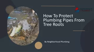 How To Protect Plumbing Pipes From Tree Roots