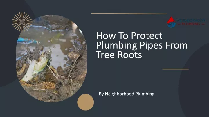 how to protect plumbing pipes from tree roots