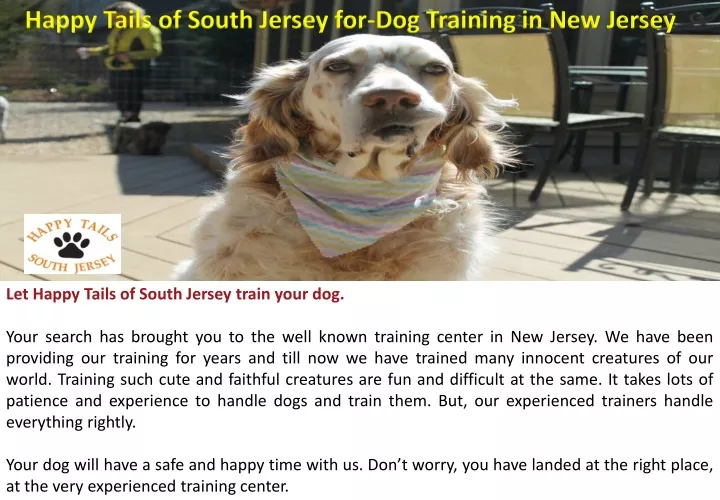 happy tails of south jersey for dog training