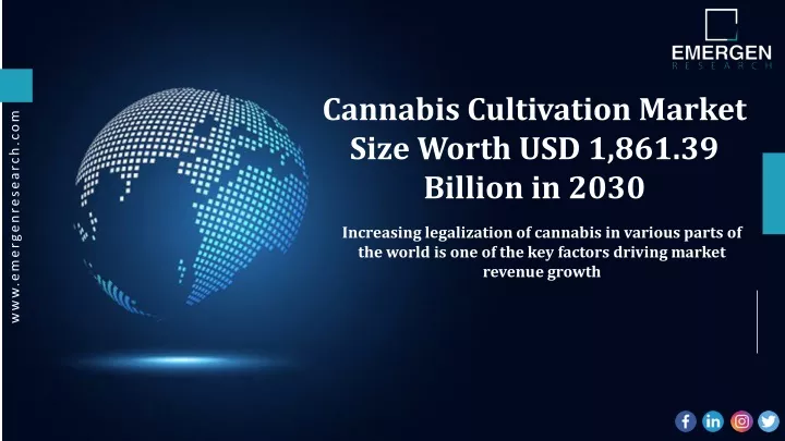 cannabis cultivation market size worth