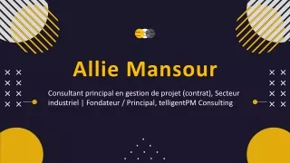 Allie Mansour - Expert remarquablement compétent
