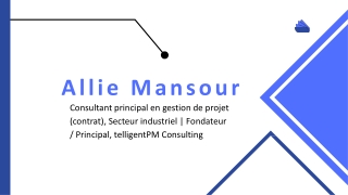 Allie Mansour - Un professionnel soucieux du détail