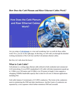 How Does the Cat6 Plenum and Riser Ethernet Cables Work