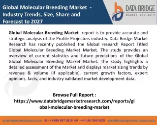 Molecular Breeding Market