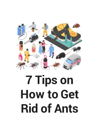 7 Tips on How to Get Rid of Ants- The Pest and Termite Co