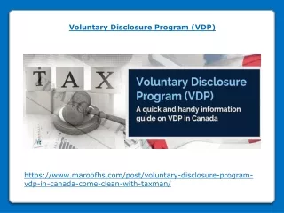 Voluntary Disclosure Program (VDP)
