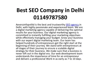 best seo company in delhi 01149787580