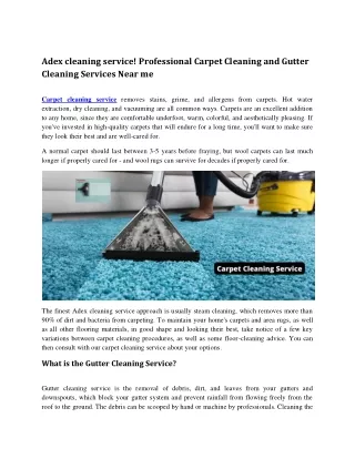 Professional Carpet Cleaning and Gutter Cleaning Services Near me pdf