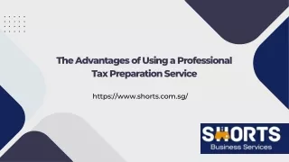 The Advantages of Using a Professional Tax Preparation Service