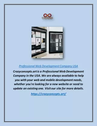 professional web development company usa