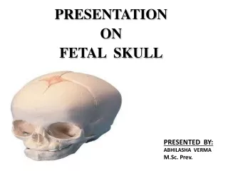 fetal skull