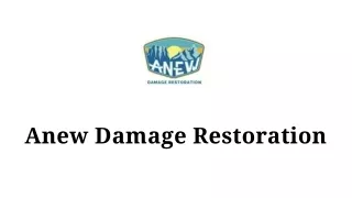 anew damage restoration