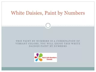 White Daisies, Paint by Numbers